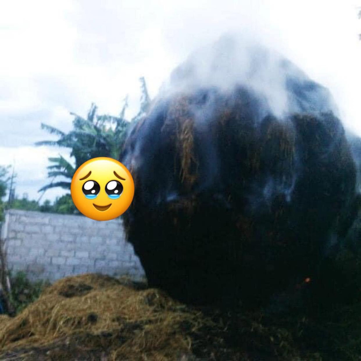 Ông bà chắc cũng phải "sang chấn tâm lý" với thành quả này của đứa cháu.