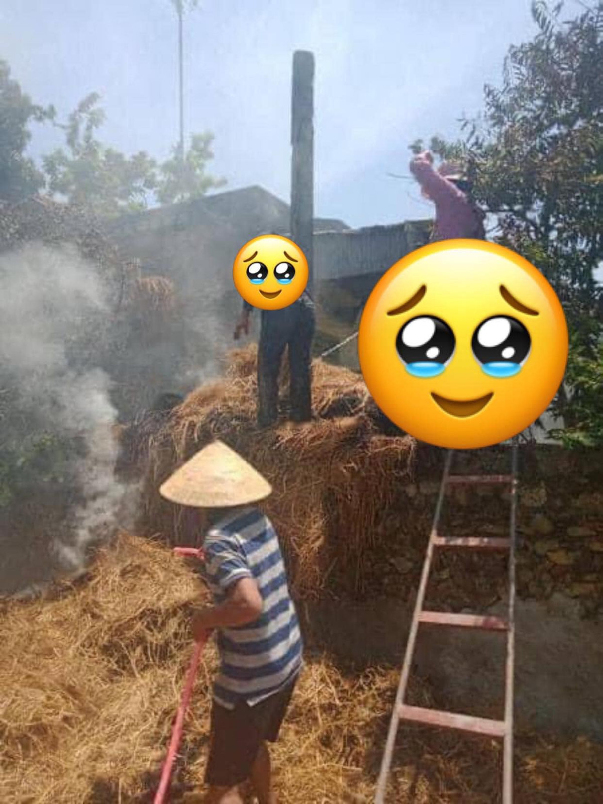 Cả nhà cố gắng cứu cây rơm chỉ vì một phút nghịch dại của con cháu.