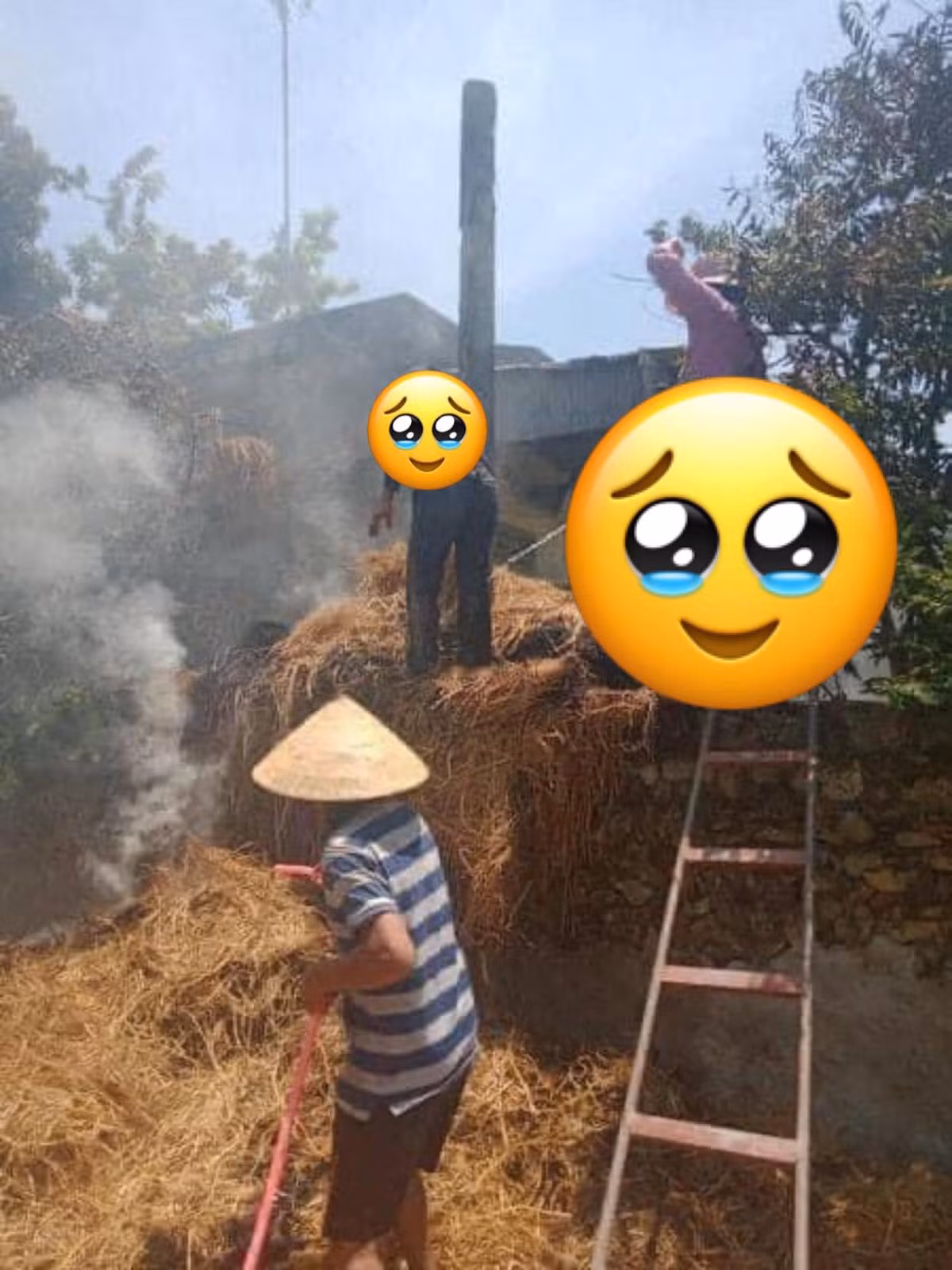 Cả nhà cố gắng cứu cây rơm chỉ vì một phút nghịch dại của con cháu.