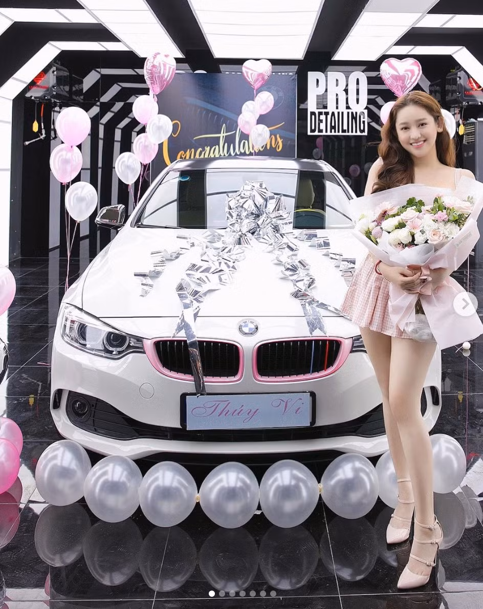 Thuý Vi sinh năm 1998, quê ở Cà Mau. Cô được biết tới bởi những scandal tai tiếng như là người thứ 3 xen vào chuyện tình cảm của Phan Thành và Midu, liên tục phẫu thuật thẩm mĩ, thành tích học tập đáng xấu hổ, cặp kè đại gia, phát ngôn gây sốc....