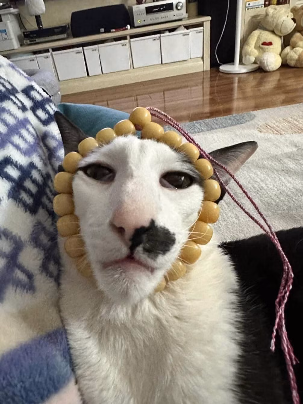 Nhúm lông trước mặt như chiếc mụt ruồi khổng lồ...