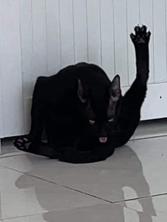 Gương mặt thách thức...