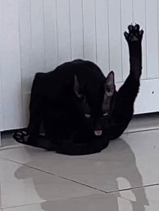 Gương mặt thách thức...