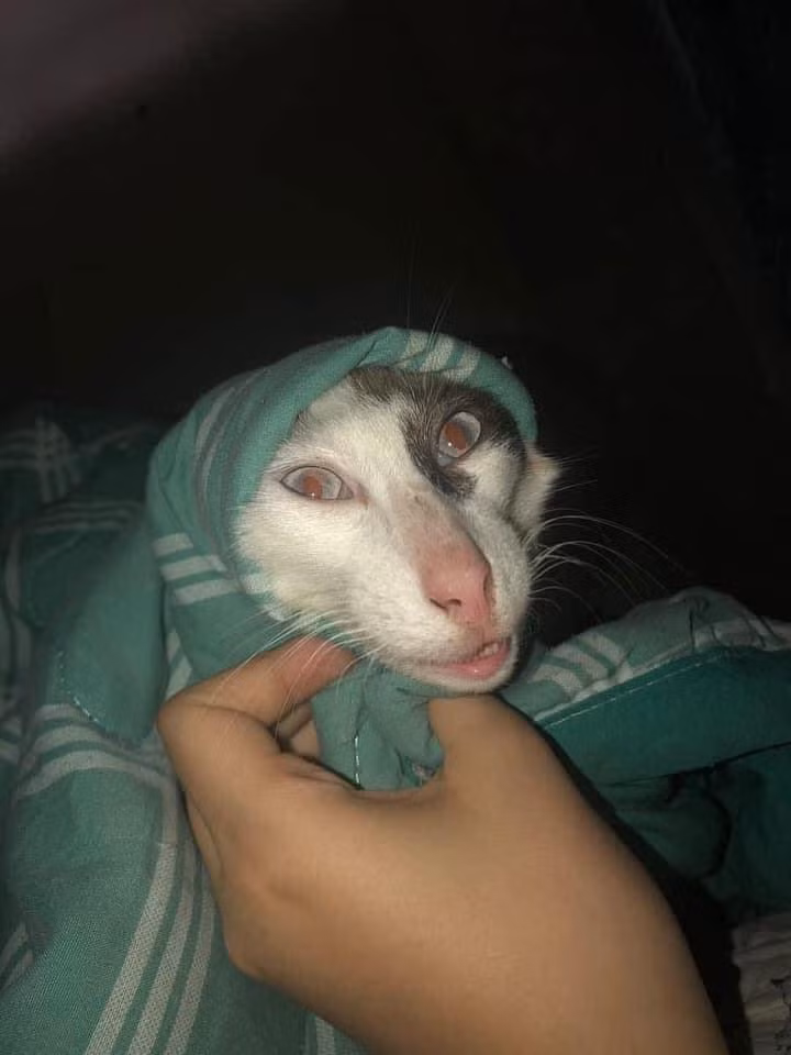 Gương mặt thon dài, v-line dẹp chuẩn đó nha.