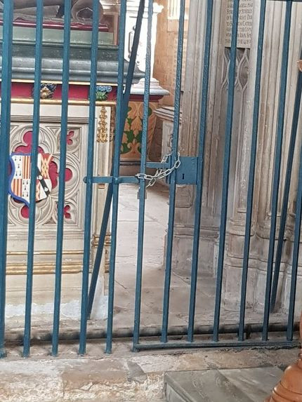 Bi an ham mo nghi chon cat thi the Cong nuong Diana-Hinh-4