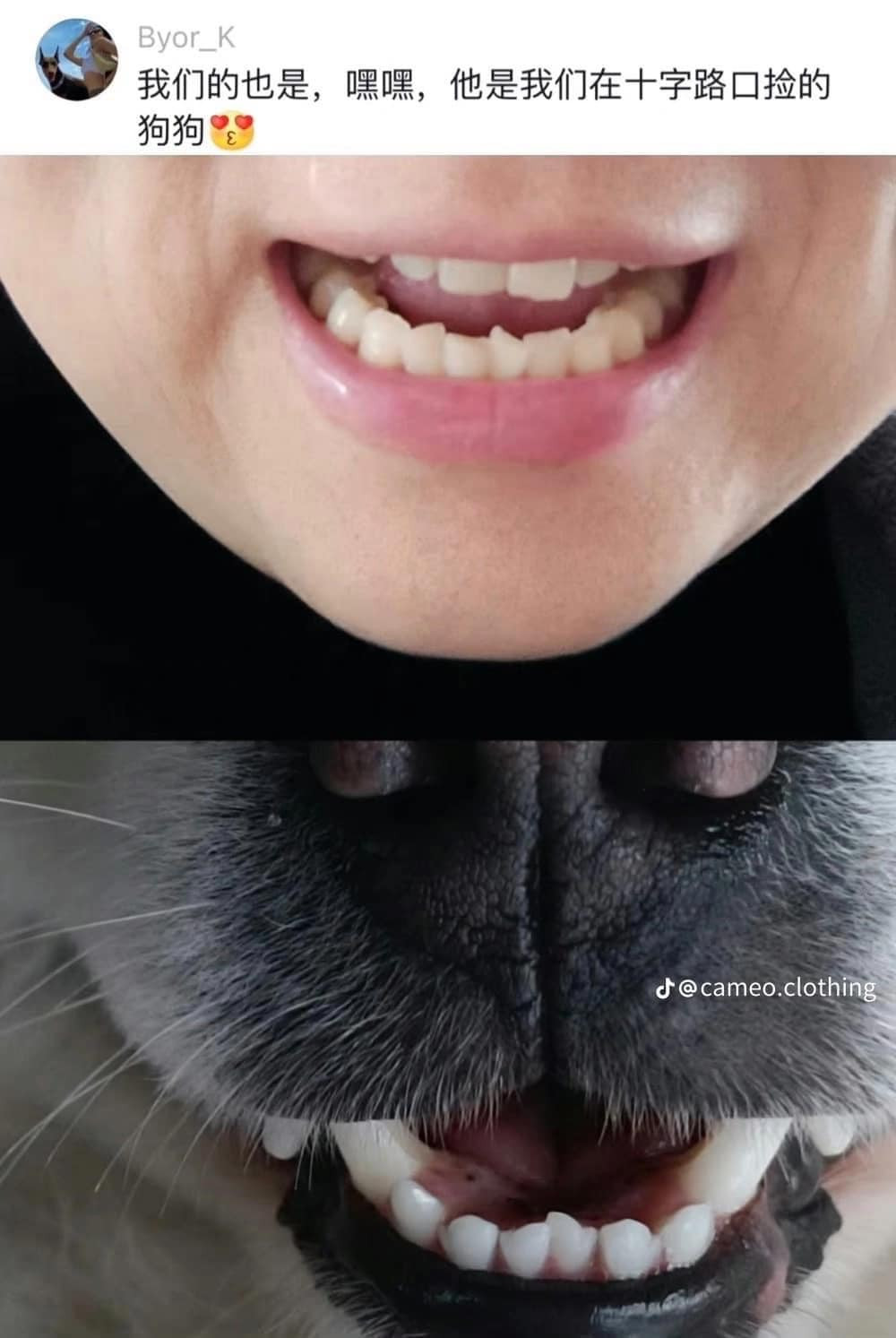 Hàm răng "sinh đôi".