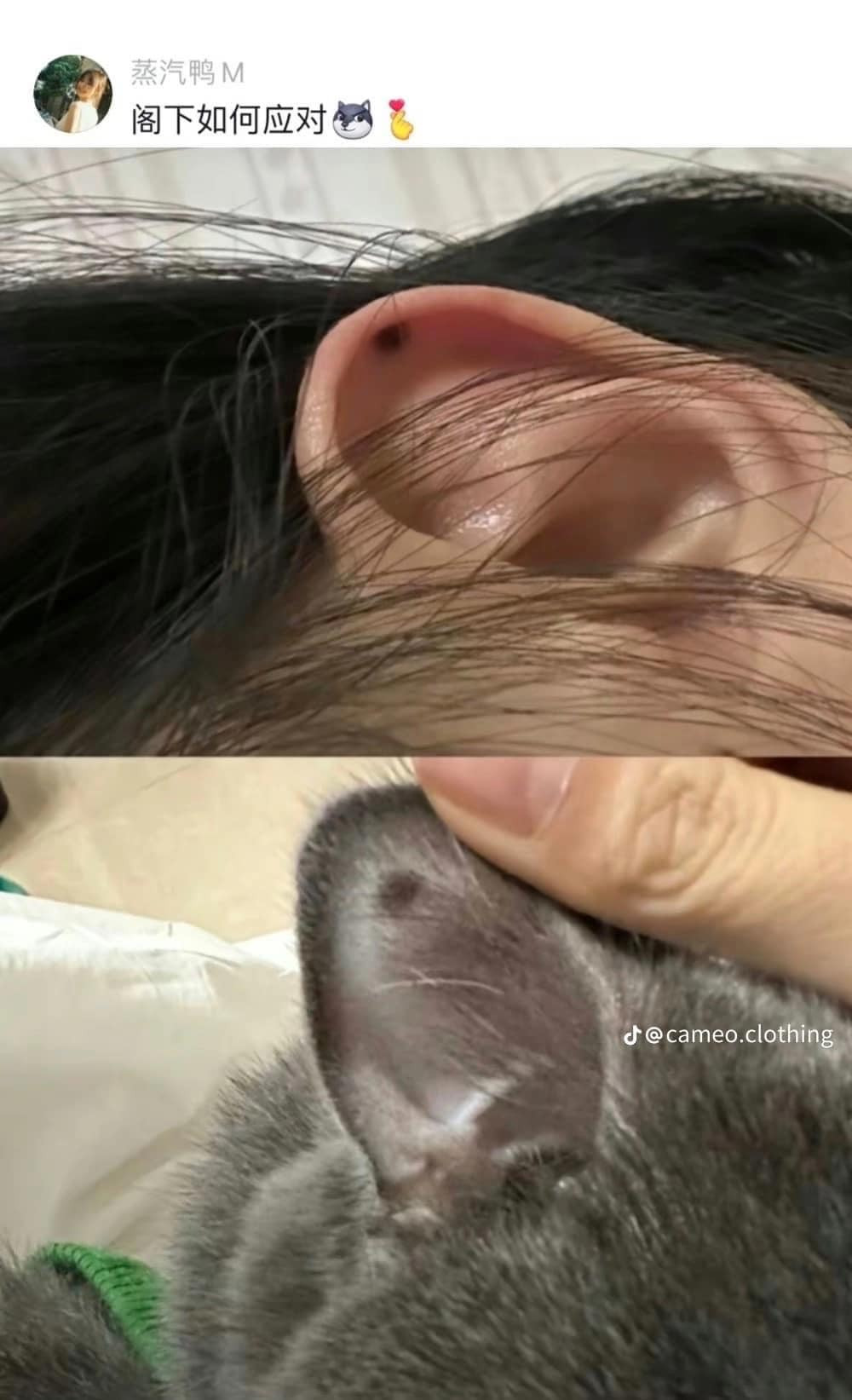 Trùng hợp ở phần tai của chủ và cún cưng đều có một nốt ruồi.