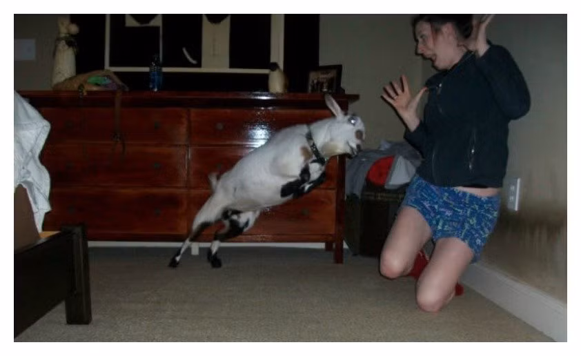 Không bao giờ được trêu tôi nữa biết chưa?