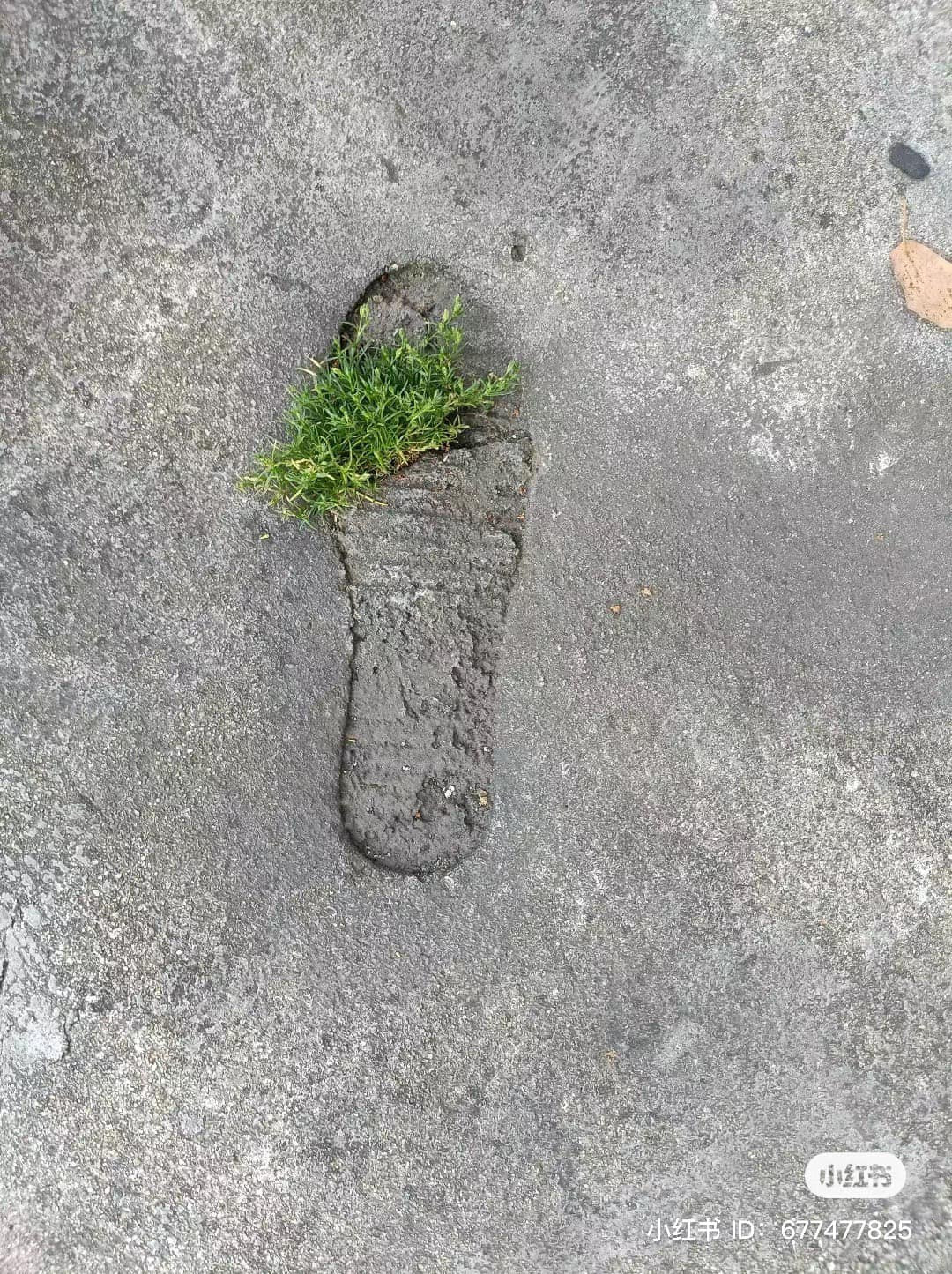 Như một bức tranh nghệ thuật.