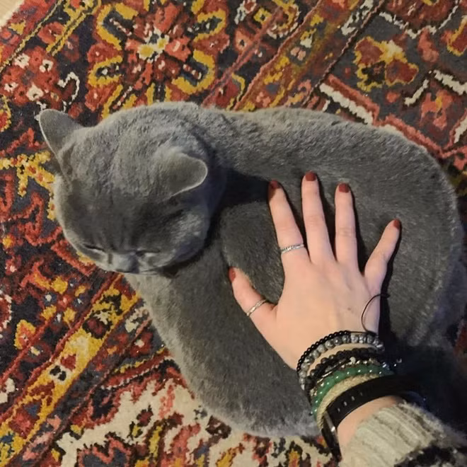 "Nhiều người lo lắng Pitoe bị béo phì nhưng thực ra thân hình nó như vậy một phần do cột sống bị vẹo. Chúng tôi vẫn luôn cho nó kiểm tra sức khỏe thường xuyên và đảm bảo chế độ ăn lành mạnh. Nó cũng không gặp đau đớn gì", Marie cho biết.