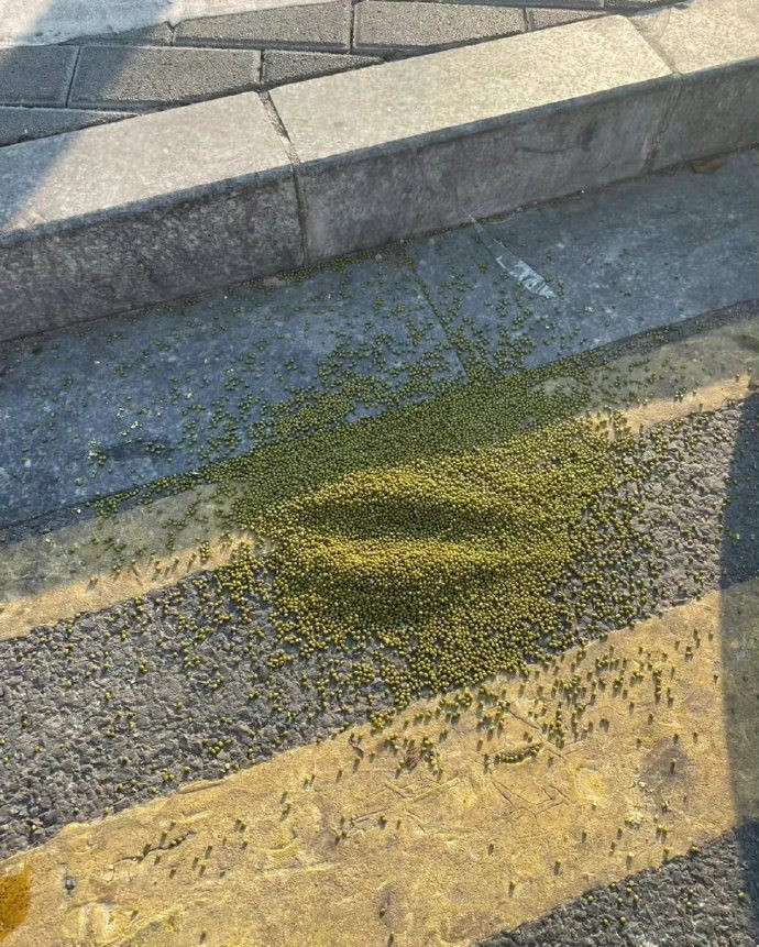 Nếu cảm thấy bất hạnh, loạt ảnh này chắc sẽ an ủi bạn phần nào bởi có nhiều trường hợp trong cuộc sống còn trớ trêu hơn.