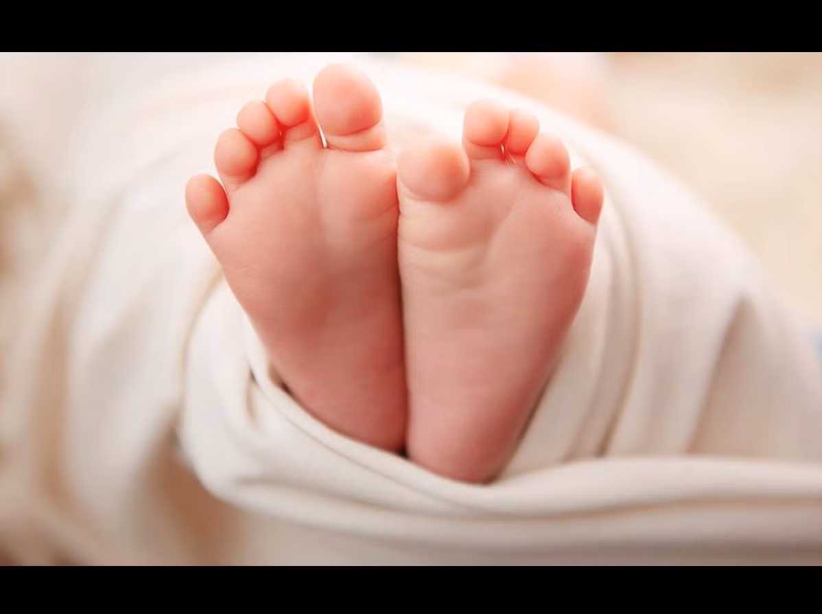 Cháu ngoại Minh Nhựa chào đời ngày 17/4, tên gọi ở nhà là Tít. Joyce Phạm nhiều lần úp mở về việc công khai tên thật của con trai trên mạng xã hội.