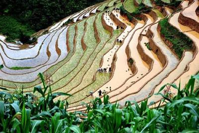 Đường đi lên Mù Cang Chải khá xa để đến được đây du khách phải vượt qua những quãng đường đèo nguy hiểm. Nhưng khi được chiêm ngưỡng cảnh sắc, bạn sẽ mọi sự mệt nhọc đều xứng đáng.