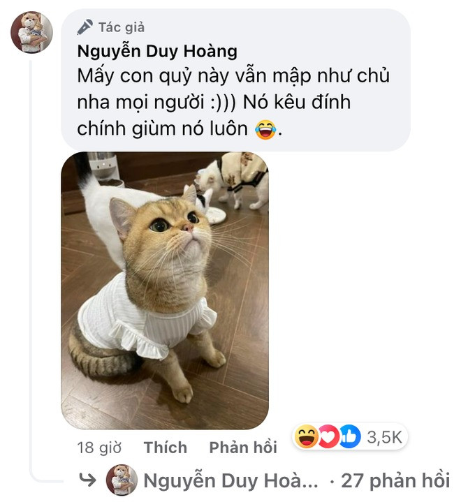 Anh chàng còn hải hước cập nhật thêm tình trạng của quàng thượng nhà mình - nhân vật cũng thường xuyên xuất hiện và quen mặt với người theo dõi các video của anh trên Youtube.