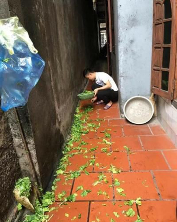 Cách đây không lâu, trên mạng xã hội từng xuất hiện tâm sự "dở khóc dở cười" của một bạn nữ về việc bị gia đình bạn trai chê bai, phản đối vì không biết vẩy rau khiến cộng đồng mạng được phen bàn tán sôi nổi.