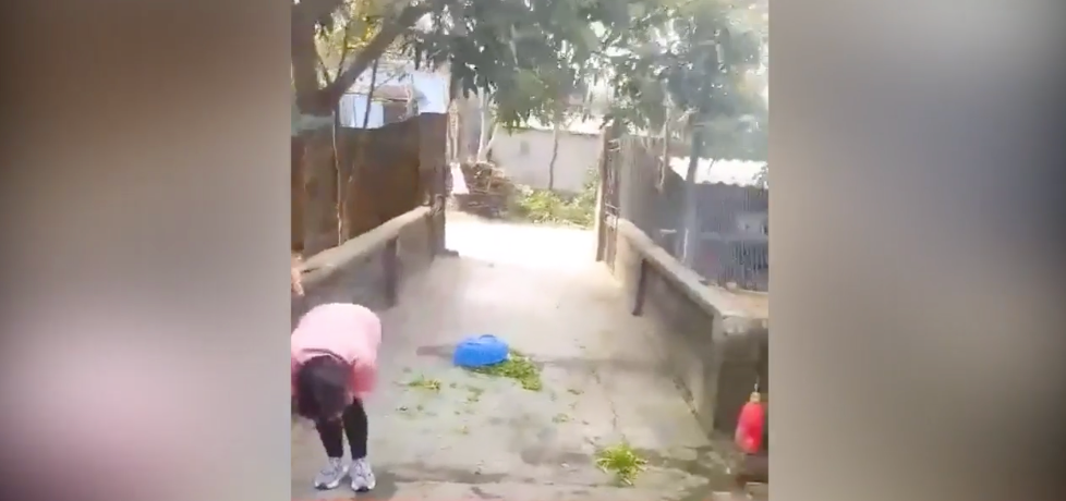 Sau thảm họa vẩy rau, cô gái "đảm đang" áo hồng vừa buồn cười, vừa xấu hổ ôm mặt, phía xa là rổ rau vung vãi.