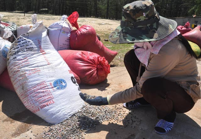 Quang Ngai: Ngu dan di cao “loc bien” nua ngay da kiem ca chi vang-Hinh-6