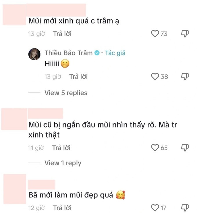 Khi một tài khoản Tiktok bình luận dưới video của cô nàng nhắc tới chuyện phẫu thuật thẩm mỹ: "Mũi mới xinh quá chị Trâm ạ", Thiều Bảo Trâm chỉ đáp lại bằng hình mặt cười ngại ngùng kèm 1 chữ ngắn gọn "Hi" và không chia sẻ gì thêm.