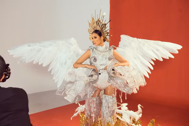 Tuy nhiên cũng có ý kiến cho rằng phần cánh cò trông khá "lởm" và đôi bốt cũng quá đồ sộ, chân cò nên mảnh mai hơn.