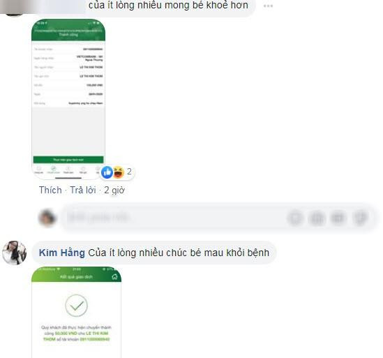 Lam gia CMTND de lua dao keu goi ung ho cho chau be bi ung thu vom hong da mat-Hinh-2