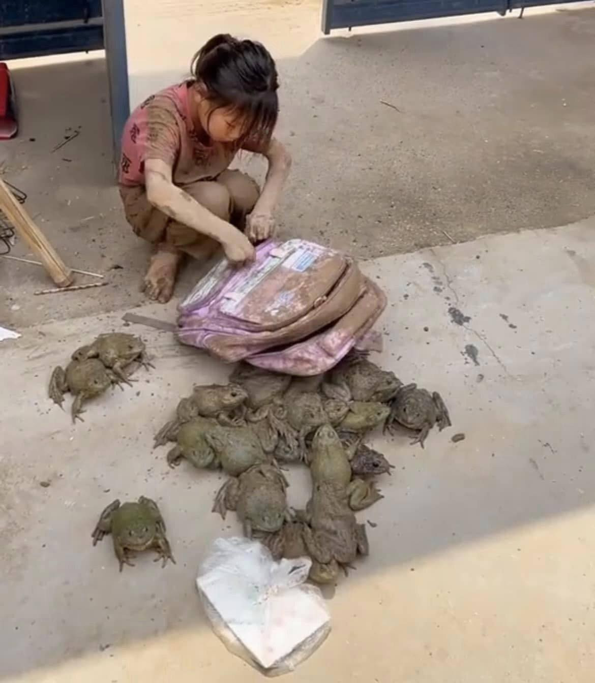 Nhiều netizen đã bình luận hóm hỉnh: "Hôm nay nhà có một bữa ếch đủ món no nê"