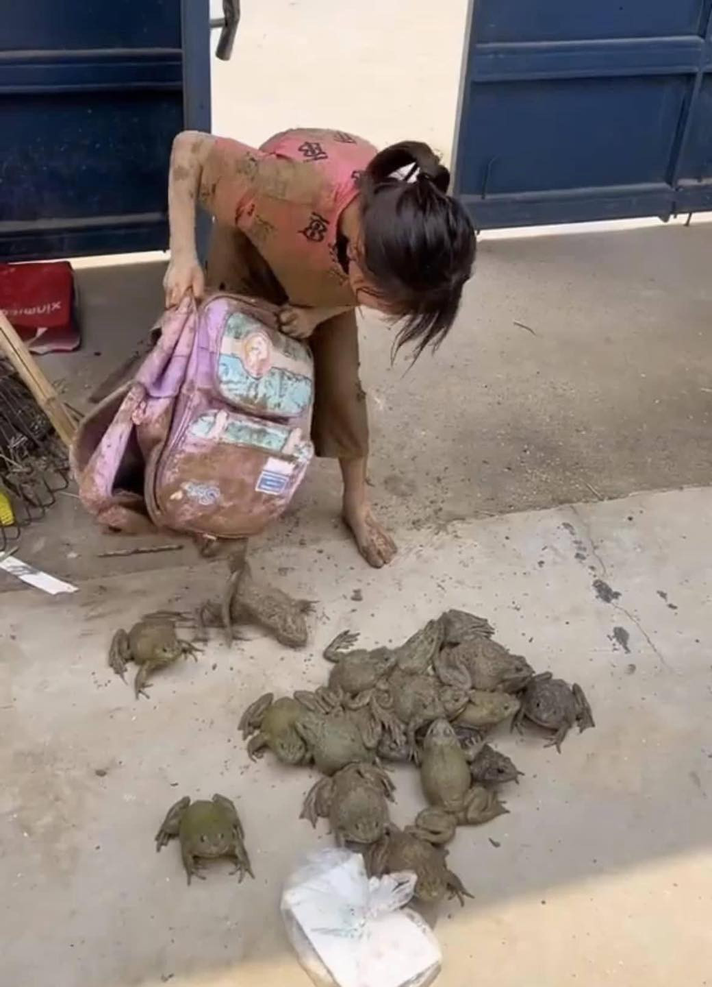 Theo quan niệm thông thường, nhưng bé gái thường thích chơi búp bê hay những thứ dễ thương, còn cô bé này lại có đam mê với loài động vật lưỡng cư này