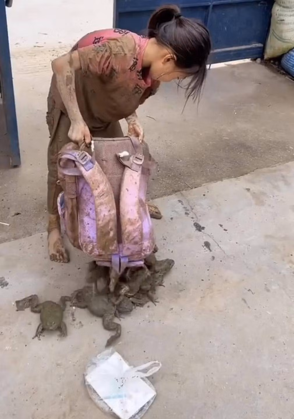 Một bà mẹ đã chia sẻ hình ảnh con gái mình với chiếc cặp sách đựng đầy...ếch