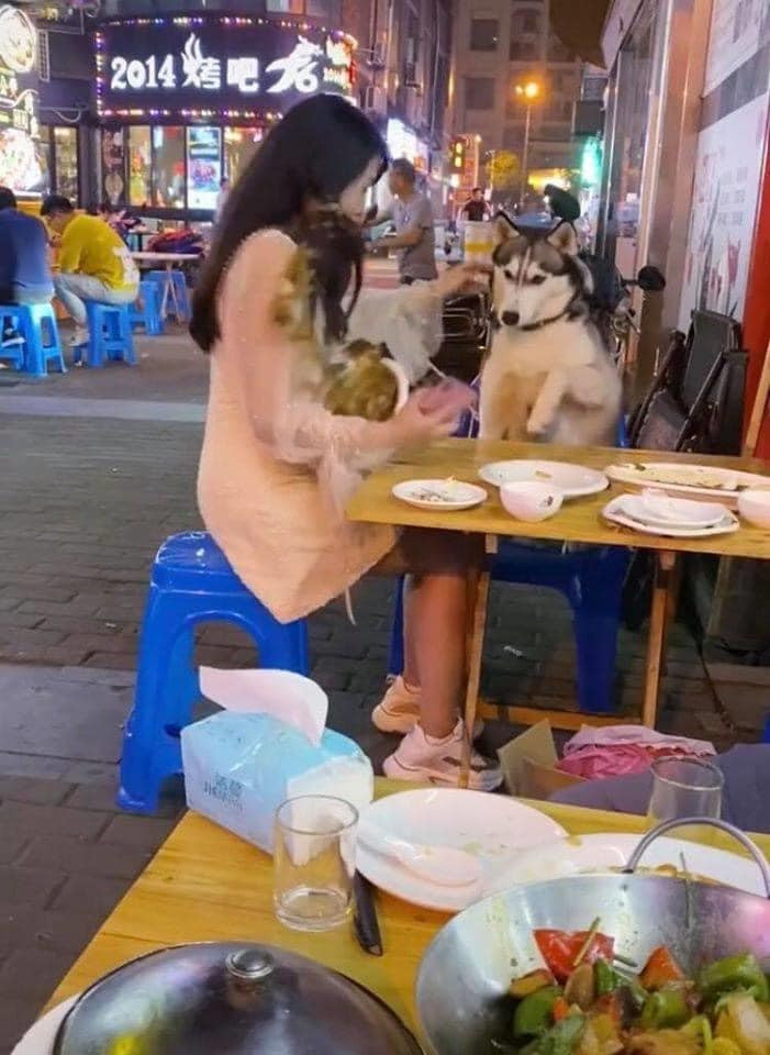 Và thế là cả một bát mì đổ thẳng vào chiếc váy của cô gái bàn bên này.