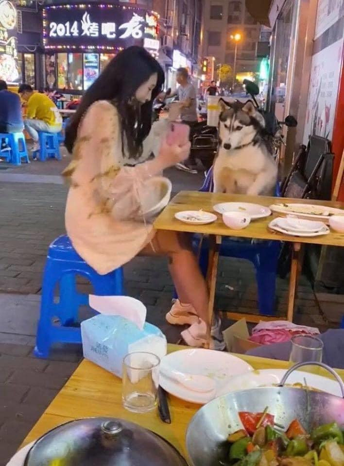 Giá như cô gái chịu nghe lời ngừoi chủ thì có lẽ sẽ không phải gánh chịu hậu quả dở khóc dở cười như vậy.