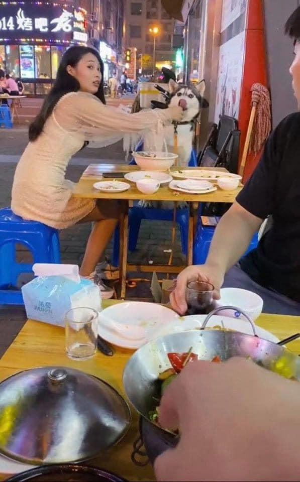 Mới đây, cộng đồng mạng được phen cười nghiêng ngả với câu chuyện bi hài được kể bằng album ảnh, trong đó nhân vật chính là chú chó Husky và một nàng tiểu thư mặc váy trắng xinh xắn ngồi bàn bên.