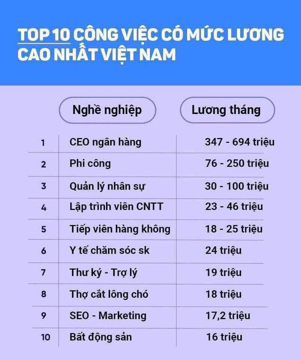 Mới đây, trên mạng xã hội có chia sẻ một bảng thống kê 10 công việc có mức lương cao nhất Việt Nam. Trong đó, bất ngờ nghề cắt lông chó góp mặt trong danh sách này.