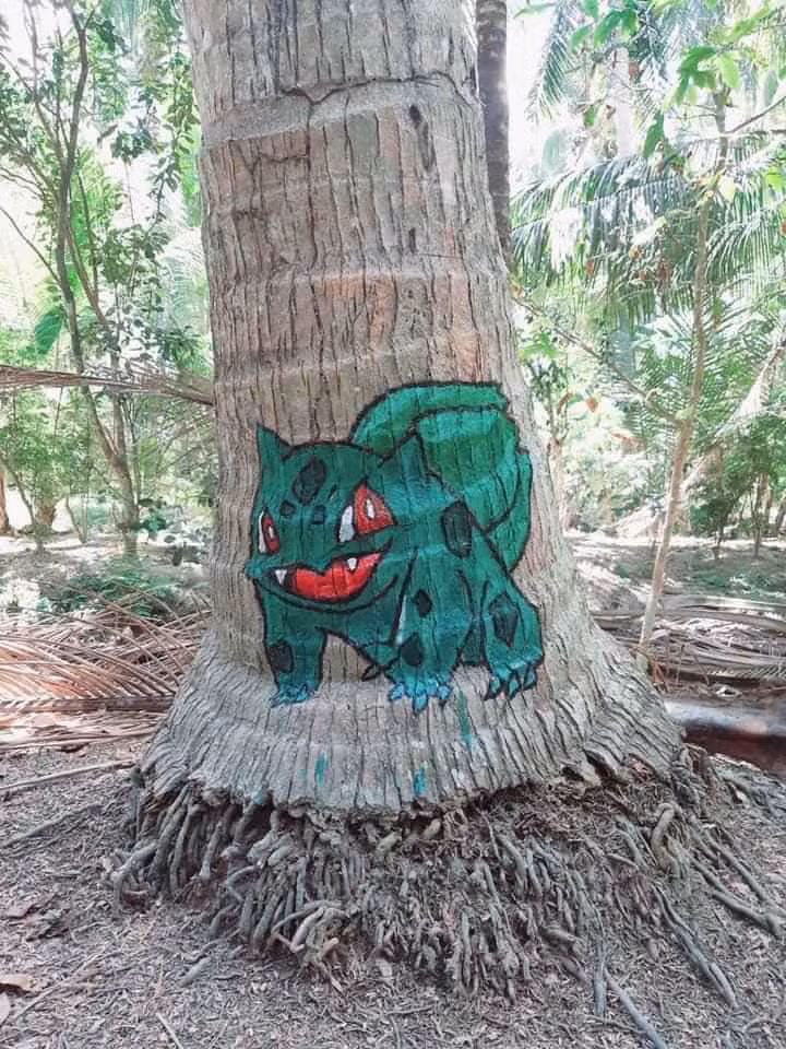 Thay vì vẽ phong cảnh, đồ vật như bình thường thì cô nàng lại vẽ Pokemon trên thân cây dừa. Có lẽ do rảnh quá, muốn mọi người cũng có trò chơi giải trí trong tình hình đại dịch COVID-19 căng thẳng nên vẽ những nhân vật hoạt hình này để mọi người tha hồ đi săn pokemon chăng?