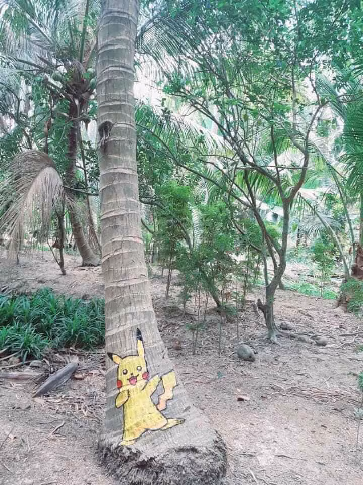 Chú pikachu này trông có vẻ hơi gầy gò nhỉ? Những bức tranh vẽ lên gốc cây dừa của cô nàng khiến thế hệ 9X nhớ lại tuổi thơ dữ dội.