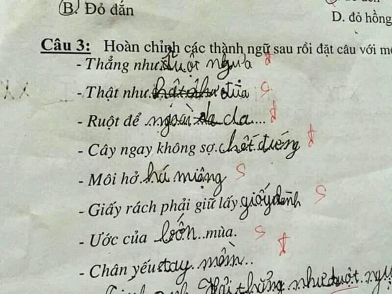 Một cư dân mạng cho rằng "Học sinh thật thà, có sao nói vậy mà cô giáo lại chấm là sai."