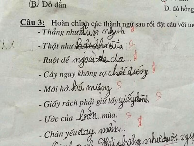 Một cư dân mạng cho rằng "Học sinh thật thà, có sao nói vậy mà cô giáo lại chấm là sai."