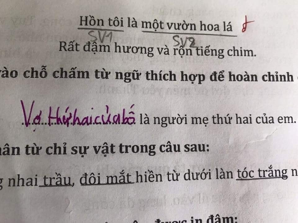 Bên dưới bình luận còn có những hình ảnh chia sẻ về cách làm bài "dí dỏm" của các học sinh tiểu học khác.