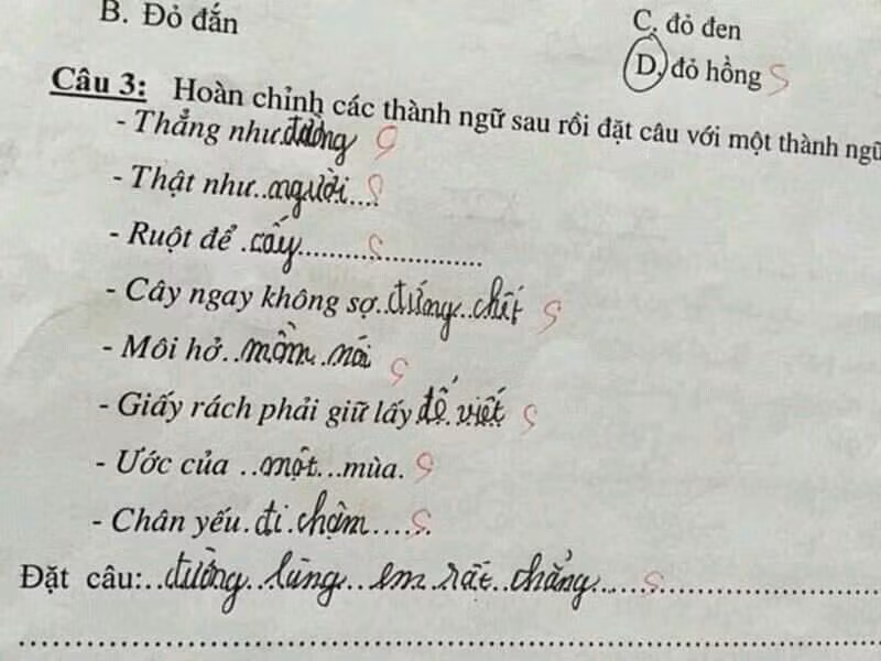 Hiện tượng "sai đồng bộ" của các học sinh đã khiến cư dân mạng được 1 trận "cười vỡ bụng".