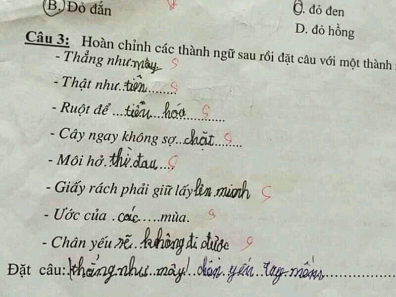 "Ruột để ngoài da" đã được các học sinh tiểu học nghĩ là "ruột để tiêu hoá" khiến nhiều người cười té ghế.