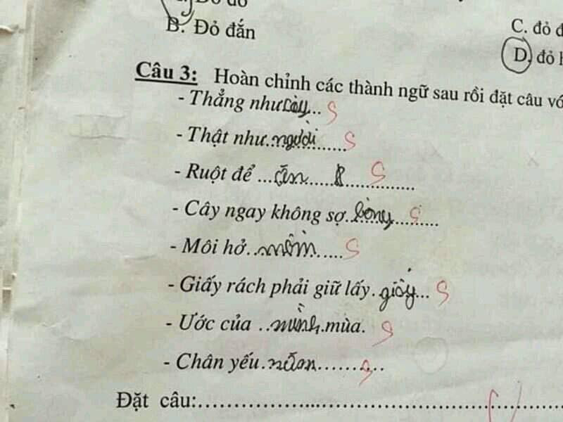 Nhiều người lý giải, có thể do các em học sinh còn bỡ ngỡ với những câu thành ngữ khó nhớ nên mới tiện tay sáng tạo ra những "siêu phẩm" như vậy.