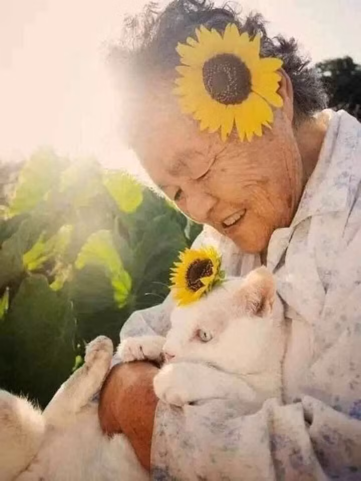 Đối với bà cụ, chú mèo Fukumaru không phải là 1 thú cưng thông thường mà như 1 người thân trong gia đình.