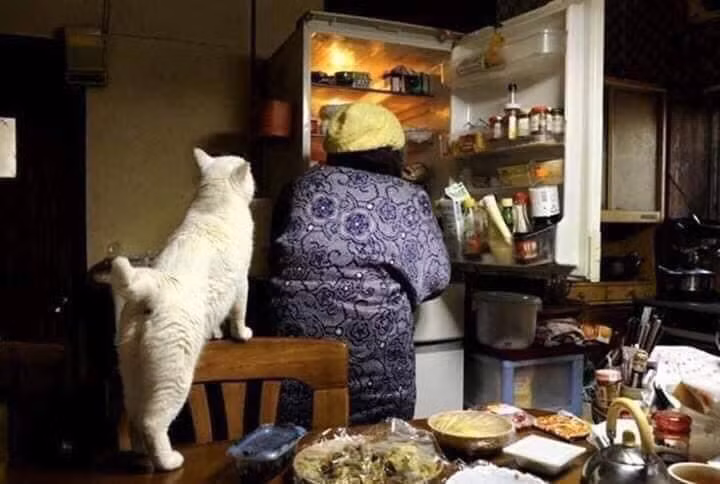 Giống như nhiều người già khác ở Nhật, phần lớn thời gian, bà cụ Misao sống một mình cùng với mèo Fukumaru, các con cháu của bà đều bận rộn với cuộc sống riêng, chỉ thi thoảng quay trở về thăm bà.