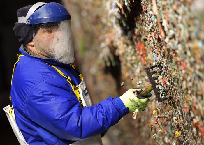 Chính quyền địa phương và nhà hát từng quyết định dọn sạch bức tường này hồi năm 2015. Mất 6 ngày để các công nhân cạo sạch và loại bỏ gần 2 tấn bã kẹo cao su dính chặt lên tường. Ảnh: The Atlantic