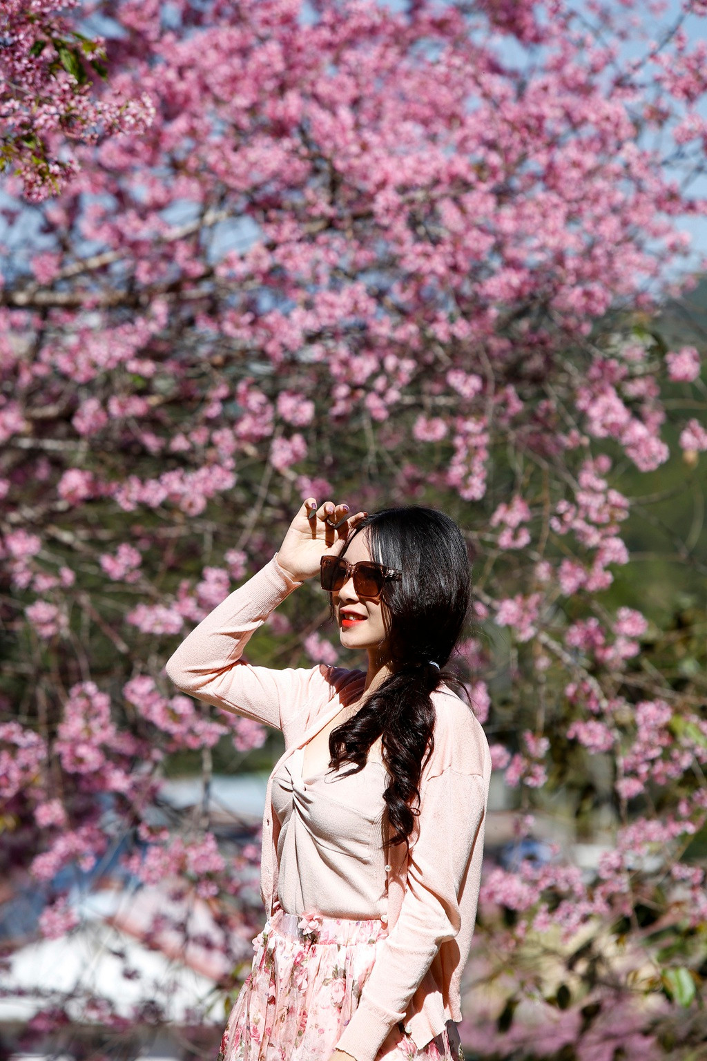 Nếu là một dân du lịch nghiện check-in Đà Lạt thì ngay lập tức hãy xách balo lên và tới thành phố mộng mơ này. Hoa mai anh đào chỉ nở rộ trong khoảng 1 tháng.