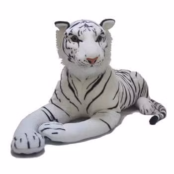 Theo như bạn nam này chia sẻ trên trang cá nhân thì bạn đã đặt mua sản phẩm có hình con hổ như ảnh trên, nhưng lại nhận được một món hàng khá bất ngờ.