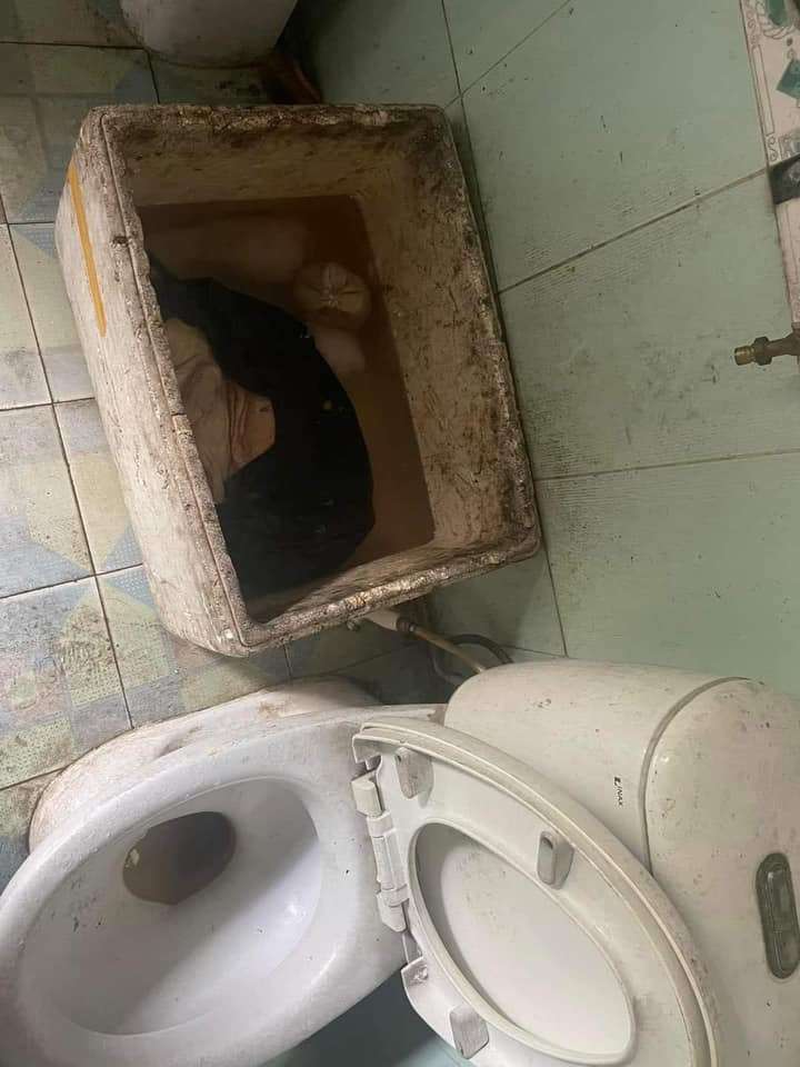 Chân giò rút xương được ngâm vào 1 chiếc thùng xốp, để trong nhà vệ sinh, ngay cạnh bồn cầu.