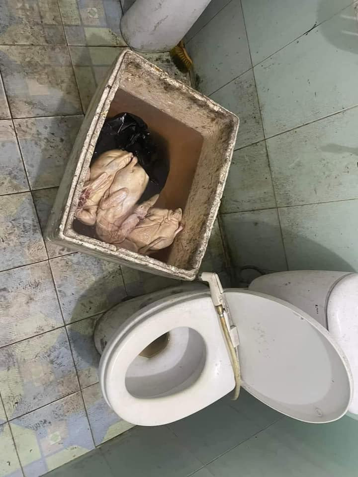 Những con vịt quay có vẻ bị ngâm khá nhiều giờ trong nước và đá nên da tái đi. Chiếc thùng xốp đựng những con vịt chưa quay này cáu bẩn, nhà vệ sinh không được cọ rửa.