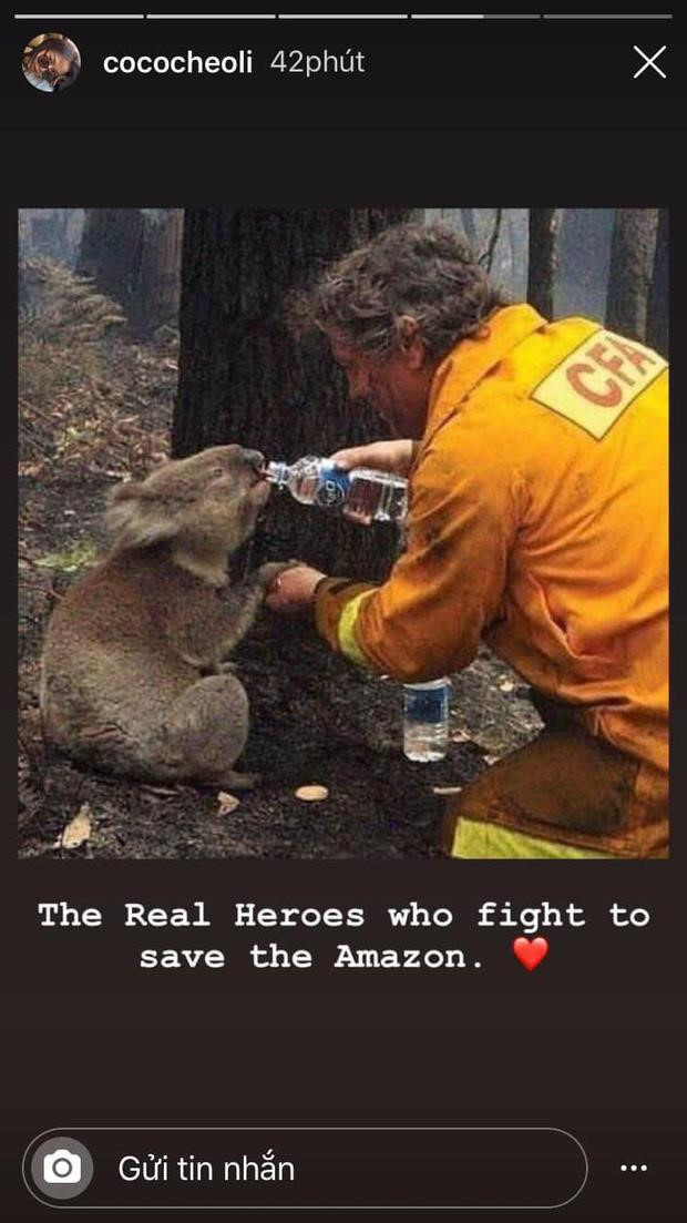 Trước đó, hot girl MXH Instagram - Cococheoli từng bị dân mạng "ném đá" vì đăng ảnh cứu hỏa ở Australia để thương xót vụ cháy rừng Amazon.