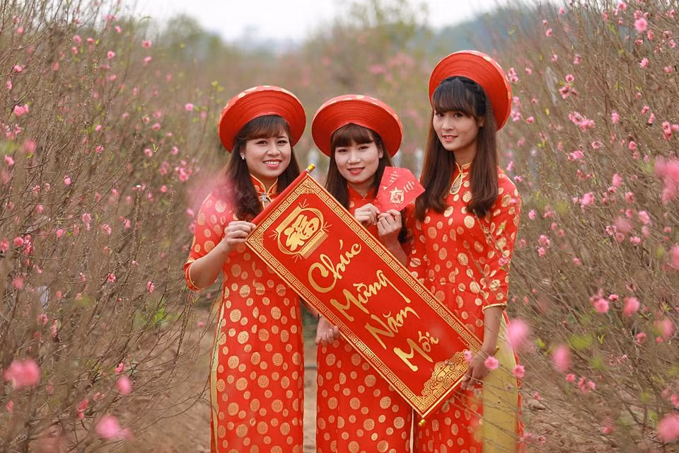 Được biết, vé vào cửa các vườn hoa tại đây là 50.000 đ/người (không giới hạn thời gian).