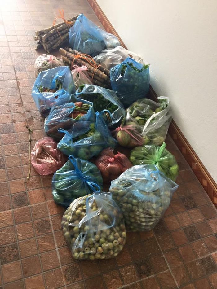 Những loại hoa quả được bày bán la liệt ở thành phố nhưng chẳng bao giờ ngon được bằng ở quê.