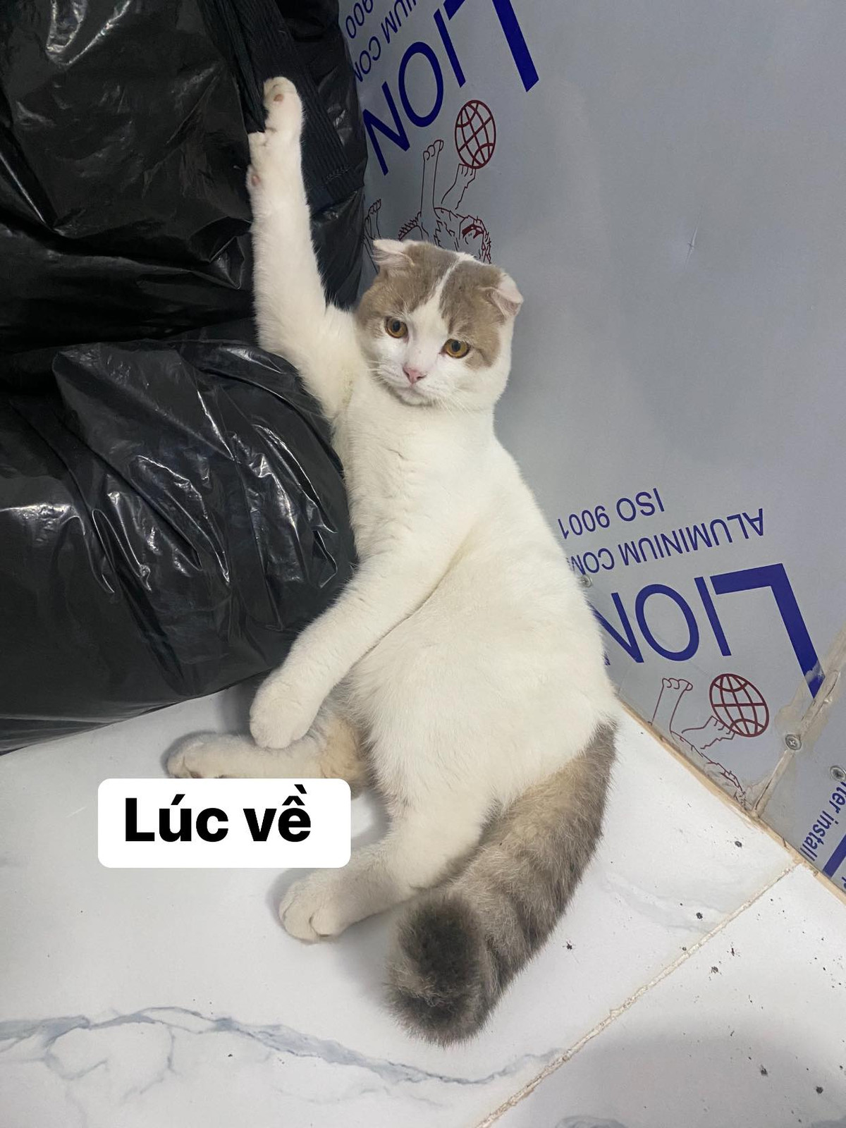 Và đây là khi đi bụi về, đúng là giảm cân không cần tập luyện.